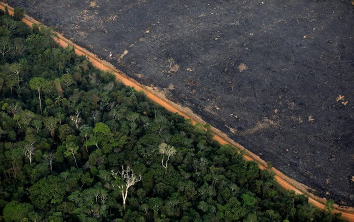 foresta amazzonica polmone del mondo
